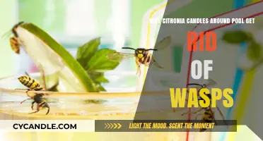 Citronella Candles Around Pool: Effective Wasp Repellent or Myth?