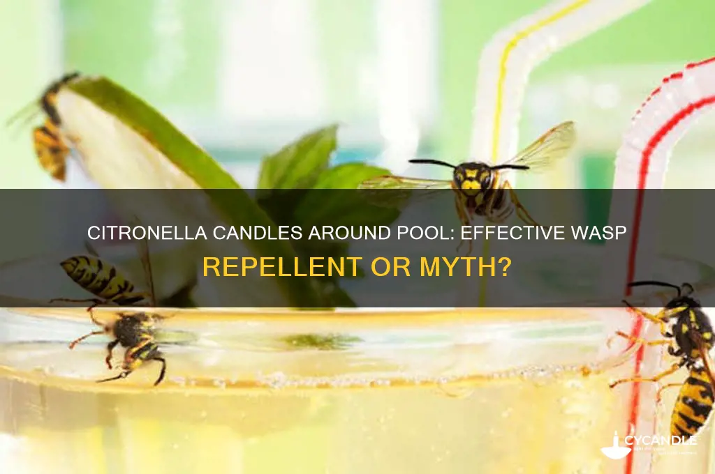 will citronia candles around pool get rid of wasps