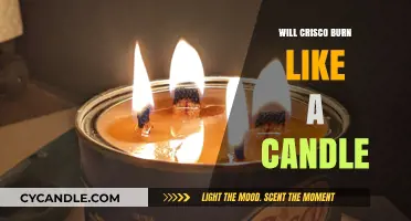 Does Crisco Melt or Burn? Testing Its Candle-Like Properties
