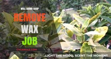 Can Dawn Soap Safely Remove Wax from Your Car's Finish?