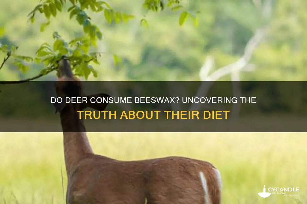 will deer eat beeswax