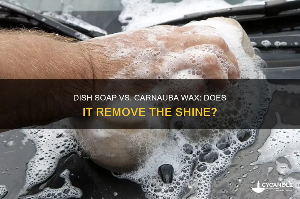 will dish soap remove carnauba wax