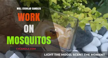 Can Regular Candles Repel Mosquitoes? The Truth Revealed