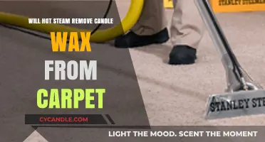 Hot Steam vs. Candle Wax: Effective Carpet Cleaning Solution?