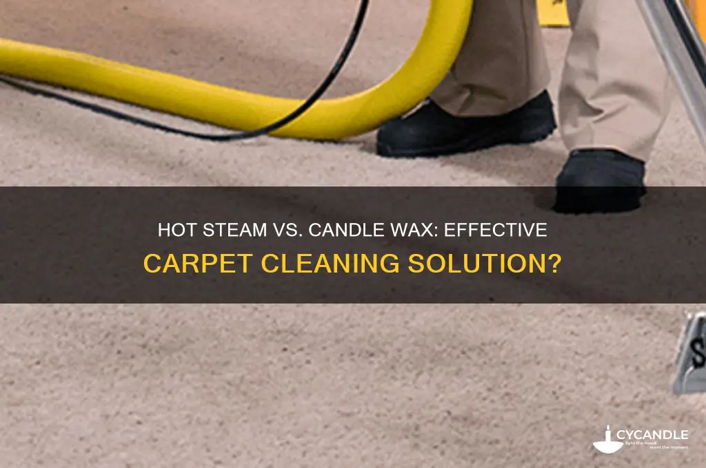 will hot steam remove candle wax from carpet