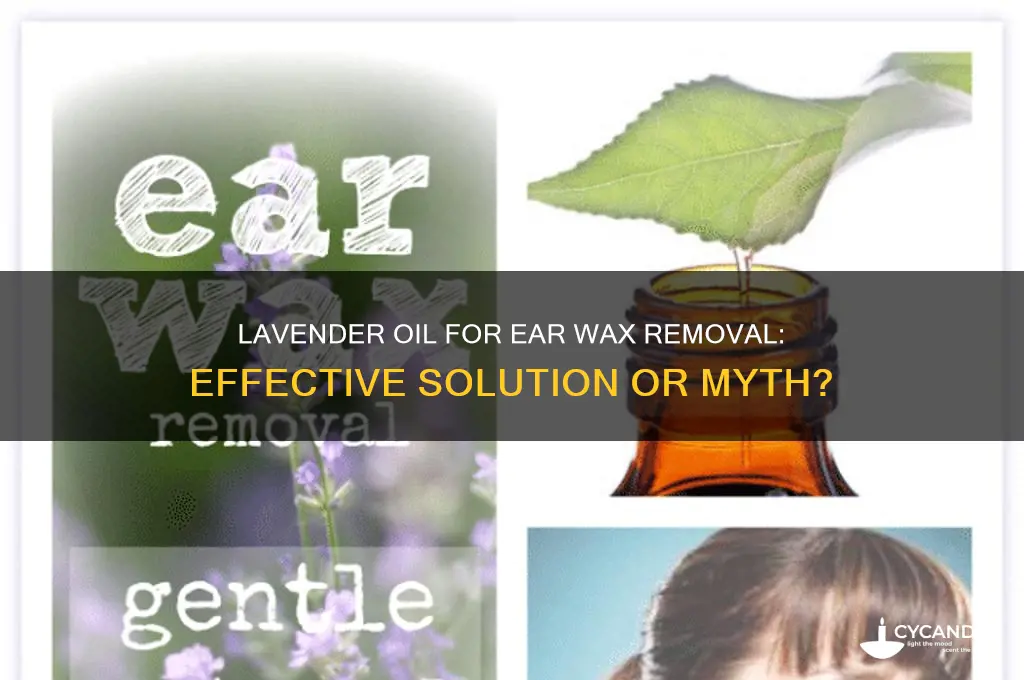 will lavender oil help with ear wax removal