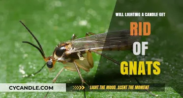 Can Lighting a Candle Effectively Eliminate Gnats? Find Out Here