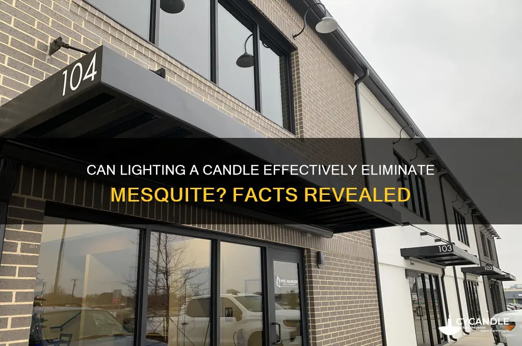 will lighting a candle kill mesquite