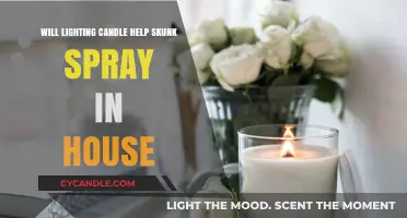 Can Lighting Candles Neutralize Skunk Spray Odor in Your Home?