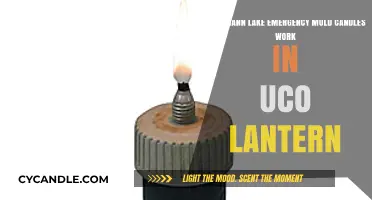 Mann Lake Emergency Mold Candles: UCO Lantern Compatibility Explored