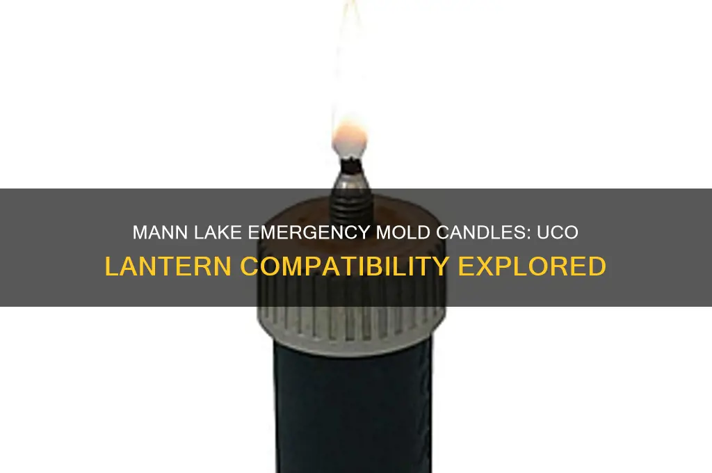 will mann lake emergency mold candles work in uco lantern