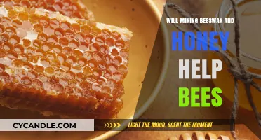 Mixing Beeswax and Honey: A Potential Boost for Bee Health?