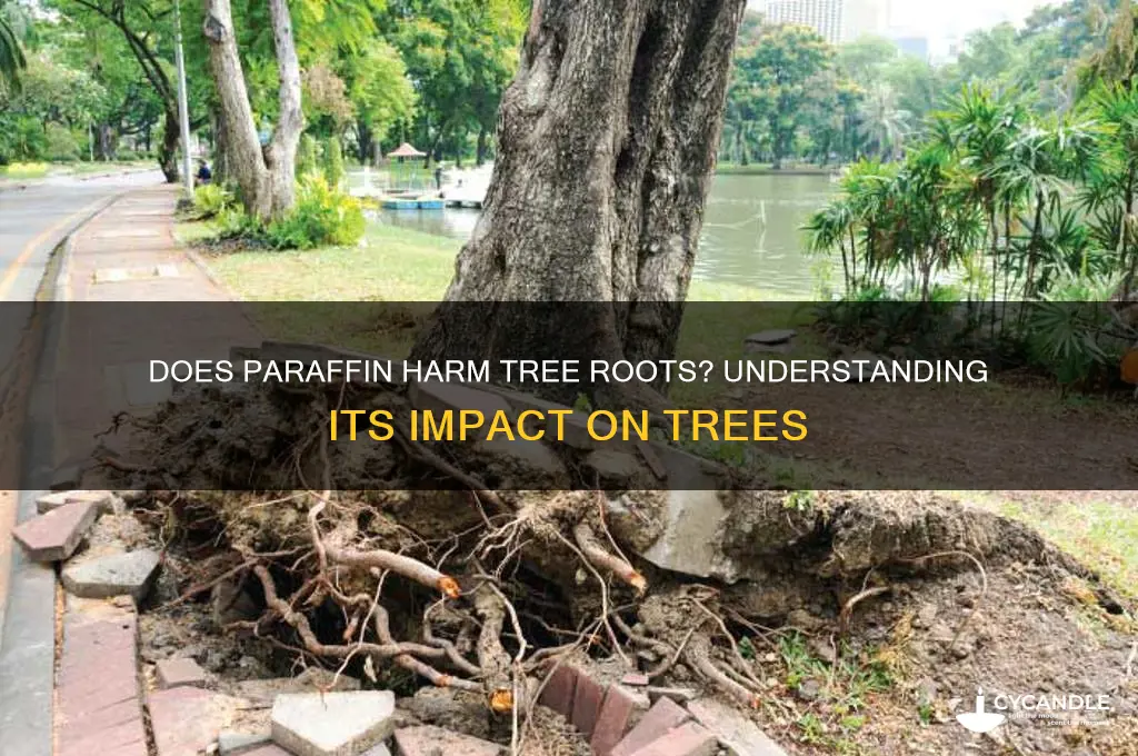 will paraffin kill tree roots
