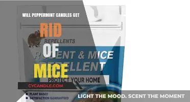 Can Peppermint Candles Effectively Repel Mice? A Comprehensive Guide