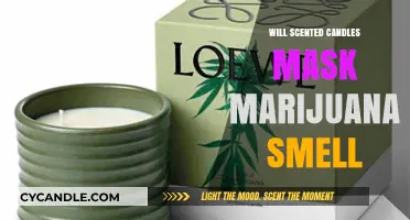 Can Scented Candles Effectively Mask Marijuana Odor? The Truth Revealed