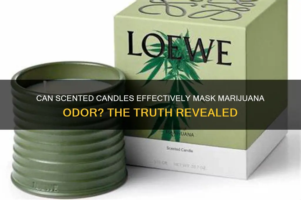 will scented candles mask marijuana smell