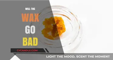 Does THC Wax Have a Shelf Life? Storage Tips and Tricks