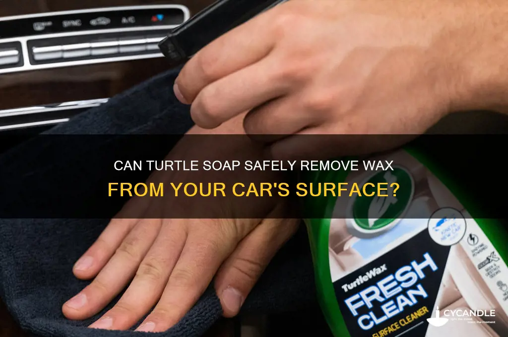 will turtle soap remove wax from cars