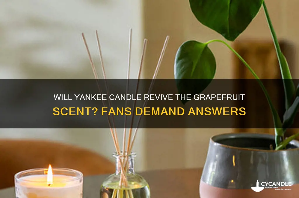 will yankee candle ever bring back grapefruit