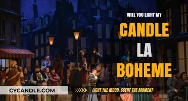 Will You Light My Candle? Exploring La Bohème's Iconic Aria