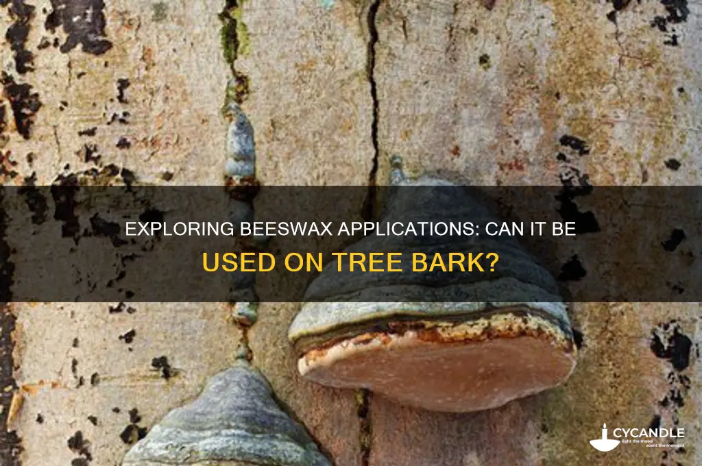would beeswax be used on bark