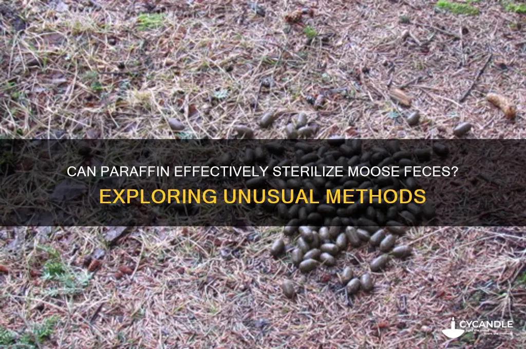 would paraffin sterilize moose poop