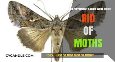 Can Peppermint Candles Effectively Repel Moths? A Natural Solution Explored